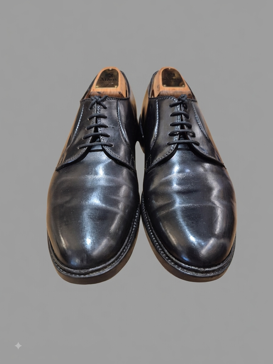 Alden | Plain Derby | No. 4903