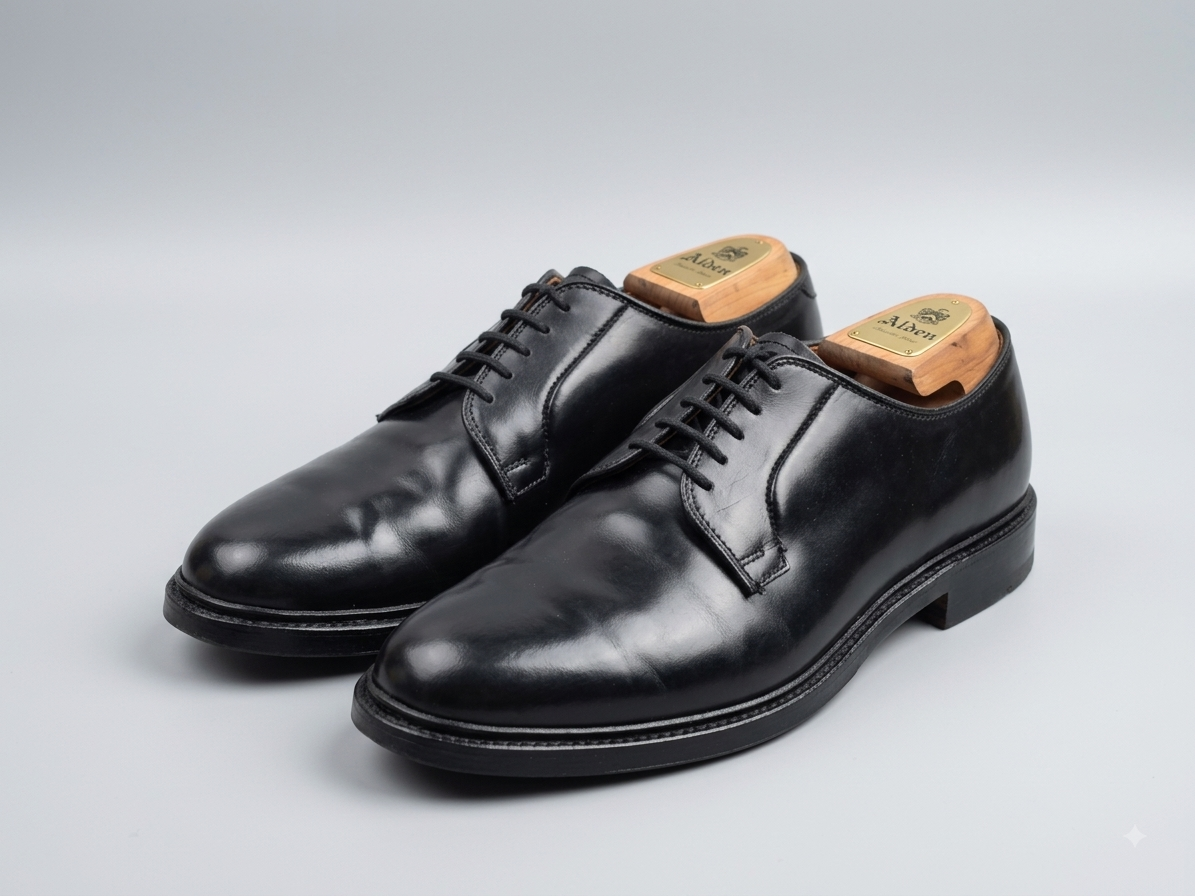 Alden | Plain Derby | No. 4903