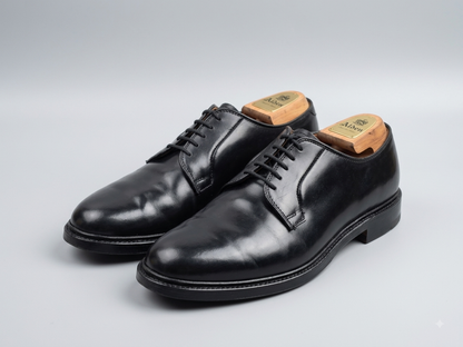Alden | Plain Derby | No. 4903